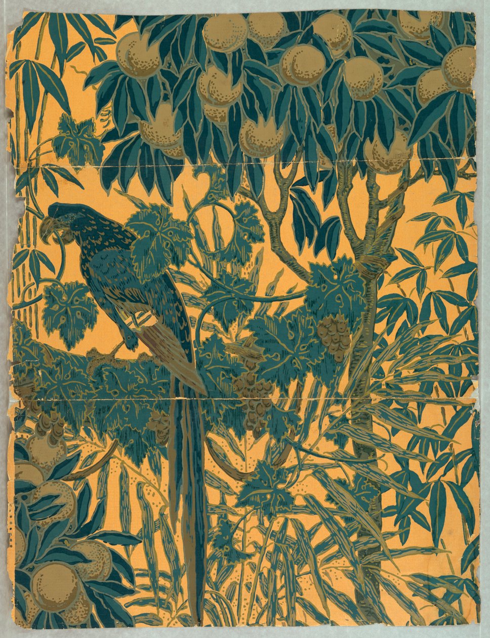Behang, Macaw, 1908 door Jeffrey