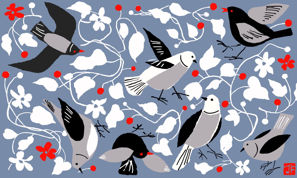 Birdy door Jenny Frean