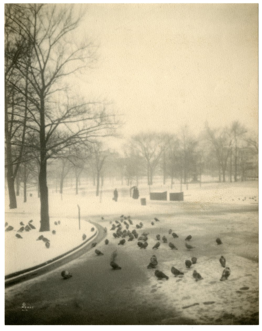 Boston Common, Boston, VS, ca. 1902-10 door Jessie Tarbox Beals