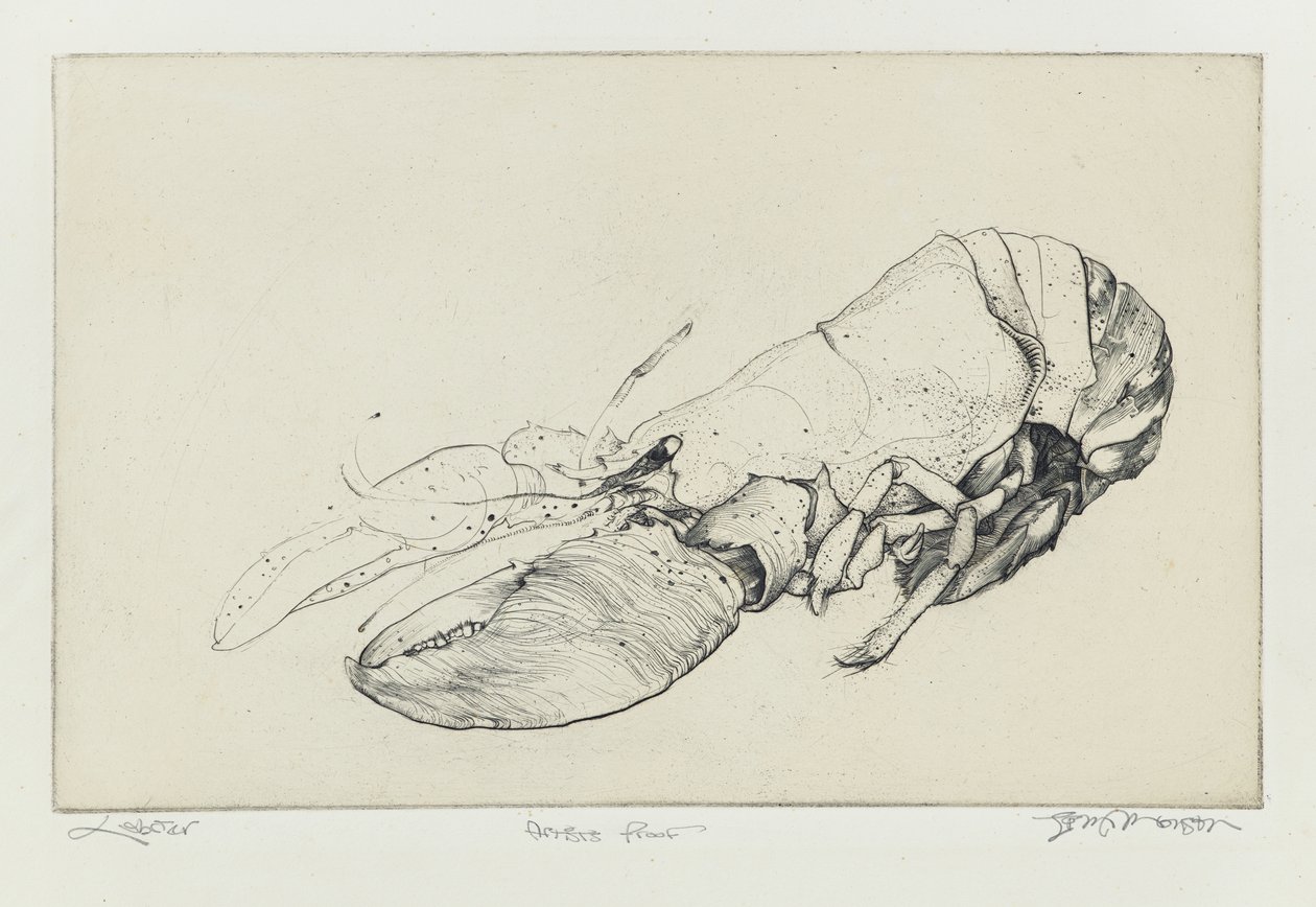 Kreeft door Jim Monson