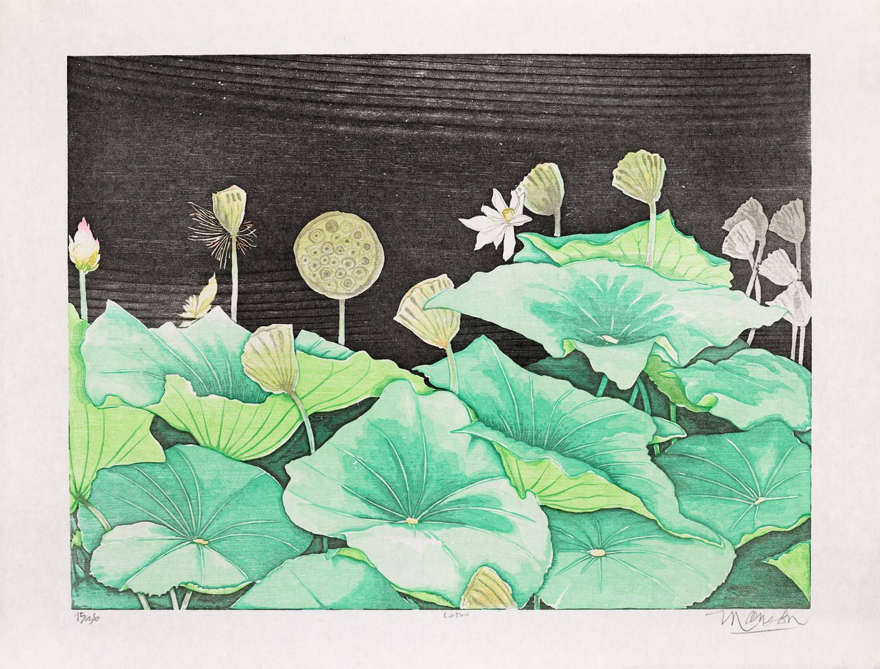 Lotus, 2016 door Jim Monson