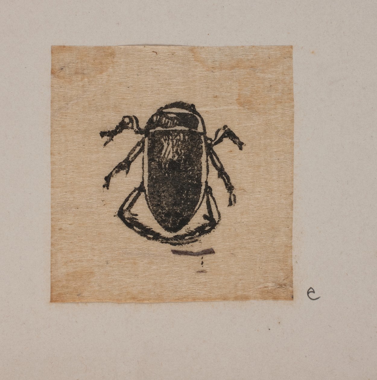 Insect door Joakim Frederik Skovgaard