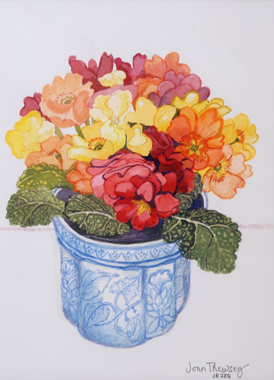 De veelkleurige primula 2011 door Joan Thewsey