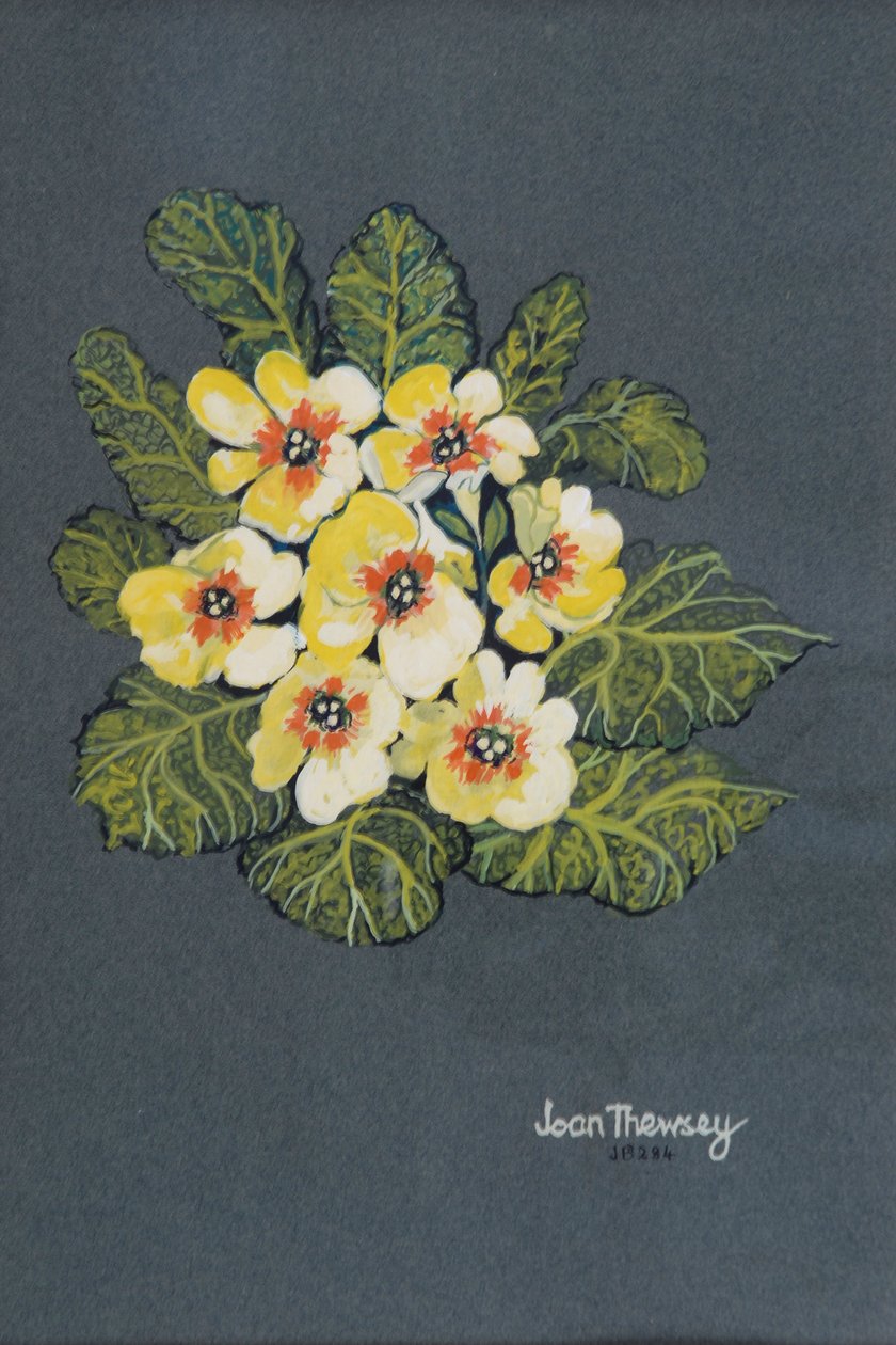 De Gele Sleutelbloem door Joan Thewsey