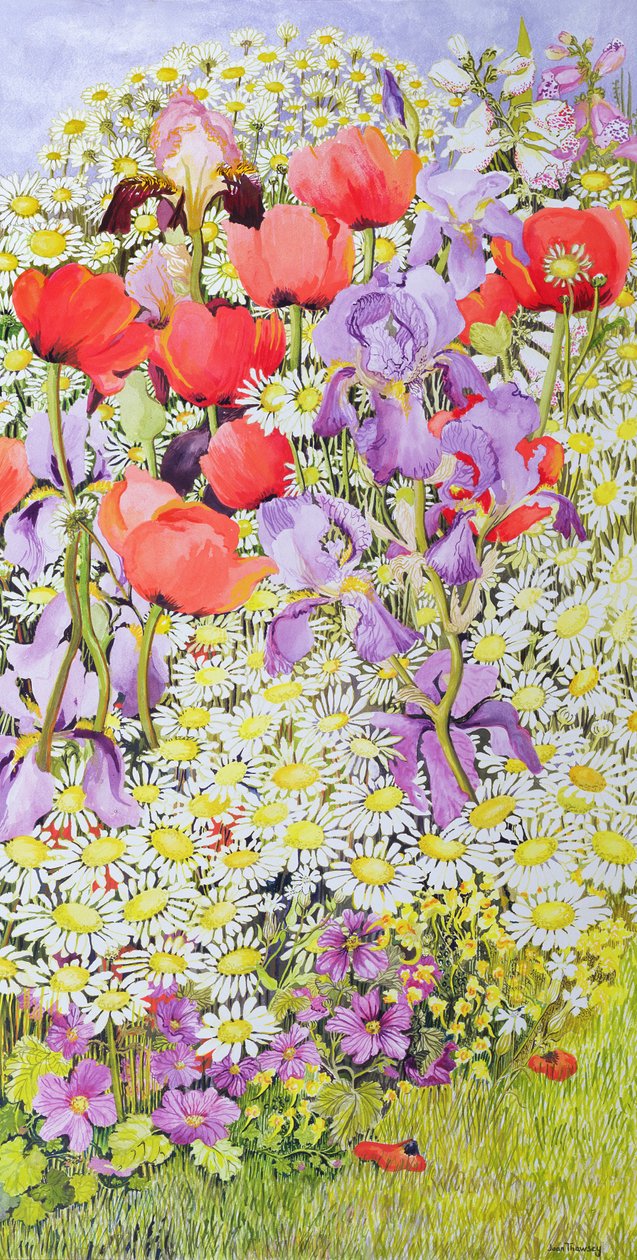 Bescherming van Wilde Bloemen; Tuinrand door Joan Thewsey