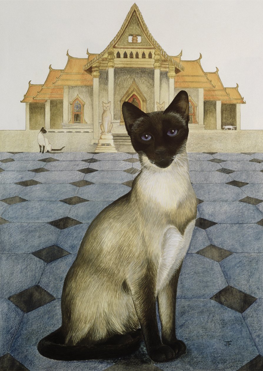 Siamese door Joan Freestone