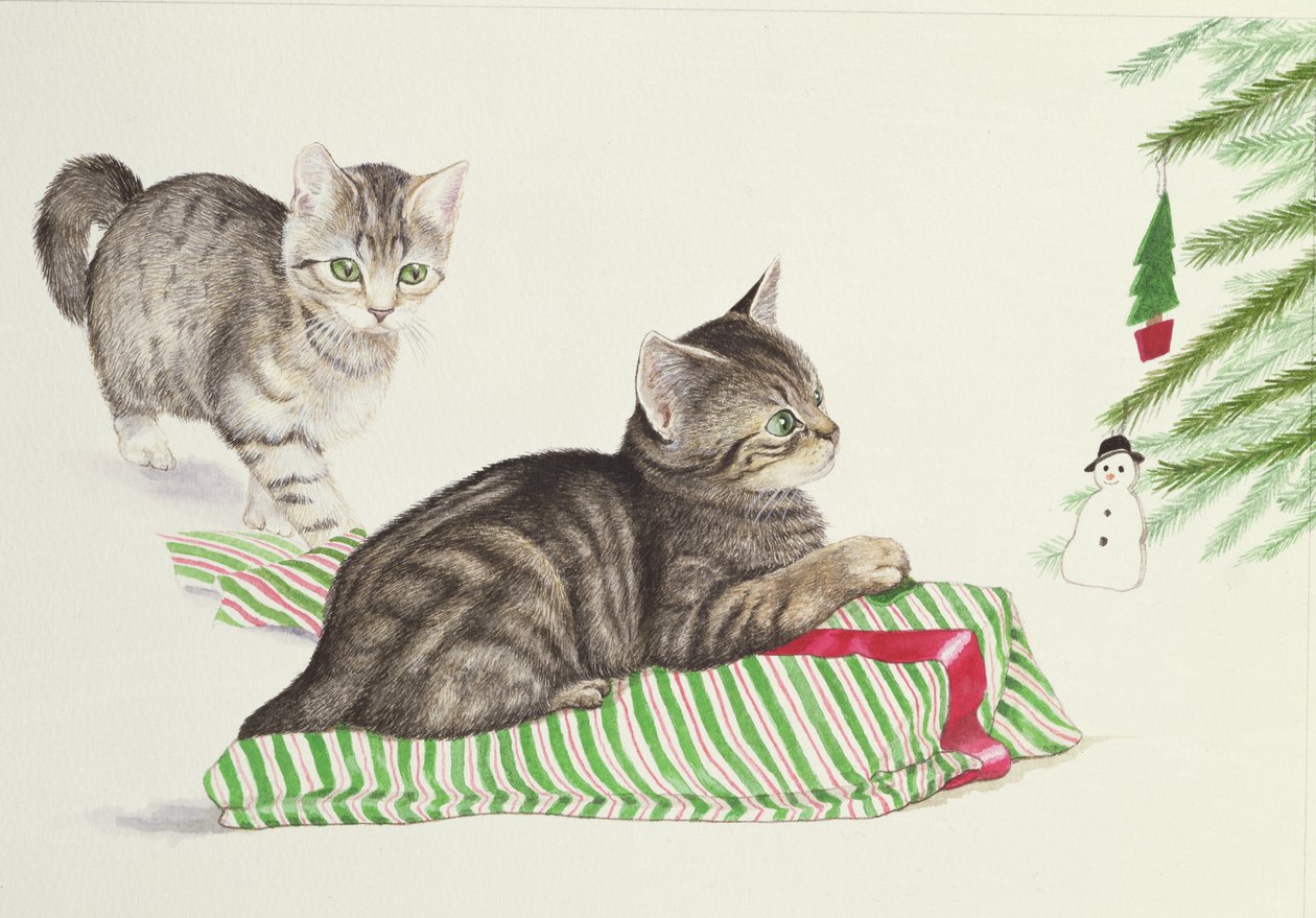 Twee kittens door Joan Freestone