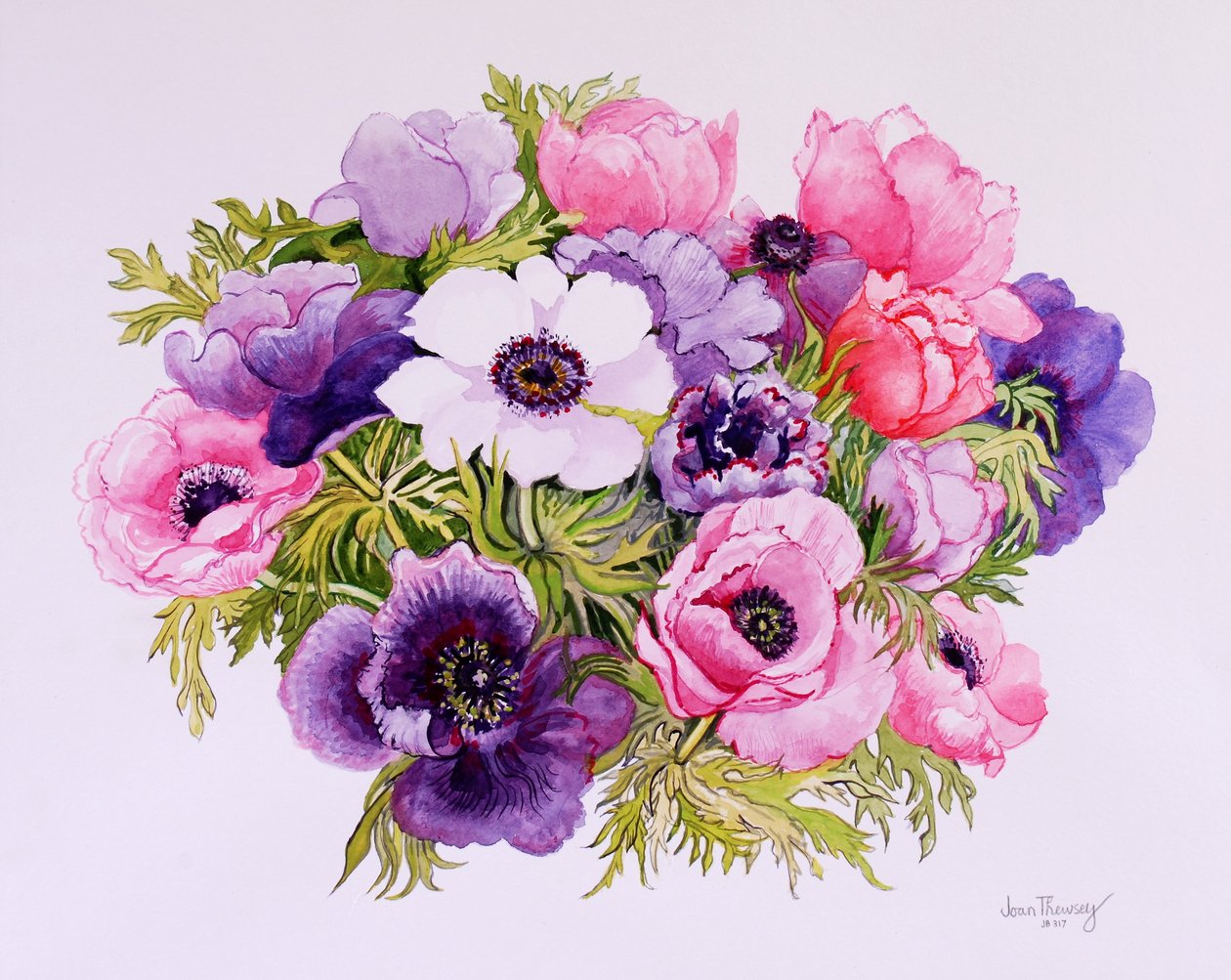 Anemonen door Joan Thewsey