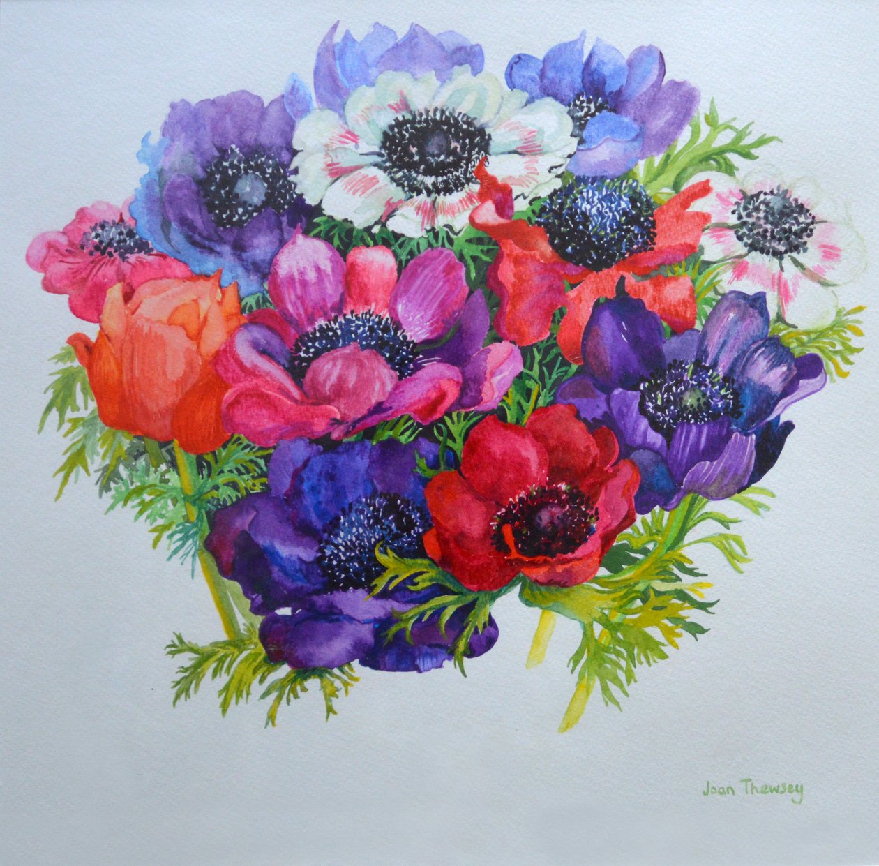 Anemonen: rood, wit, roze en paars, 2000 door Joan Thewsey
