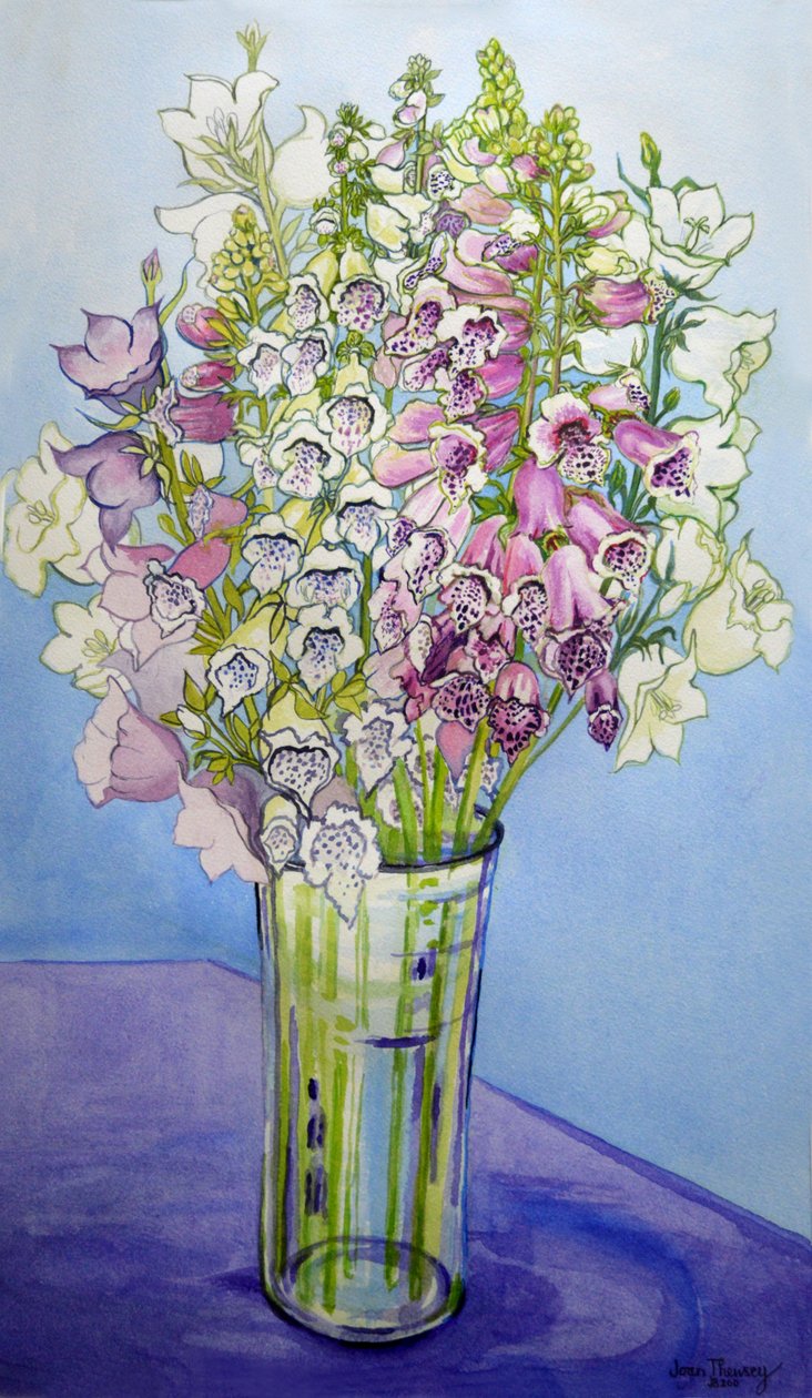 Vingerhoedskruid en Campanula