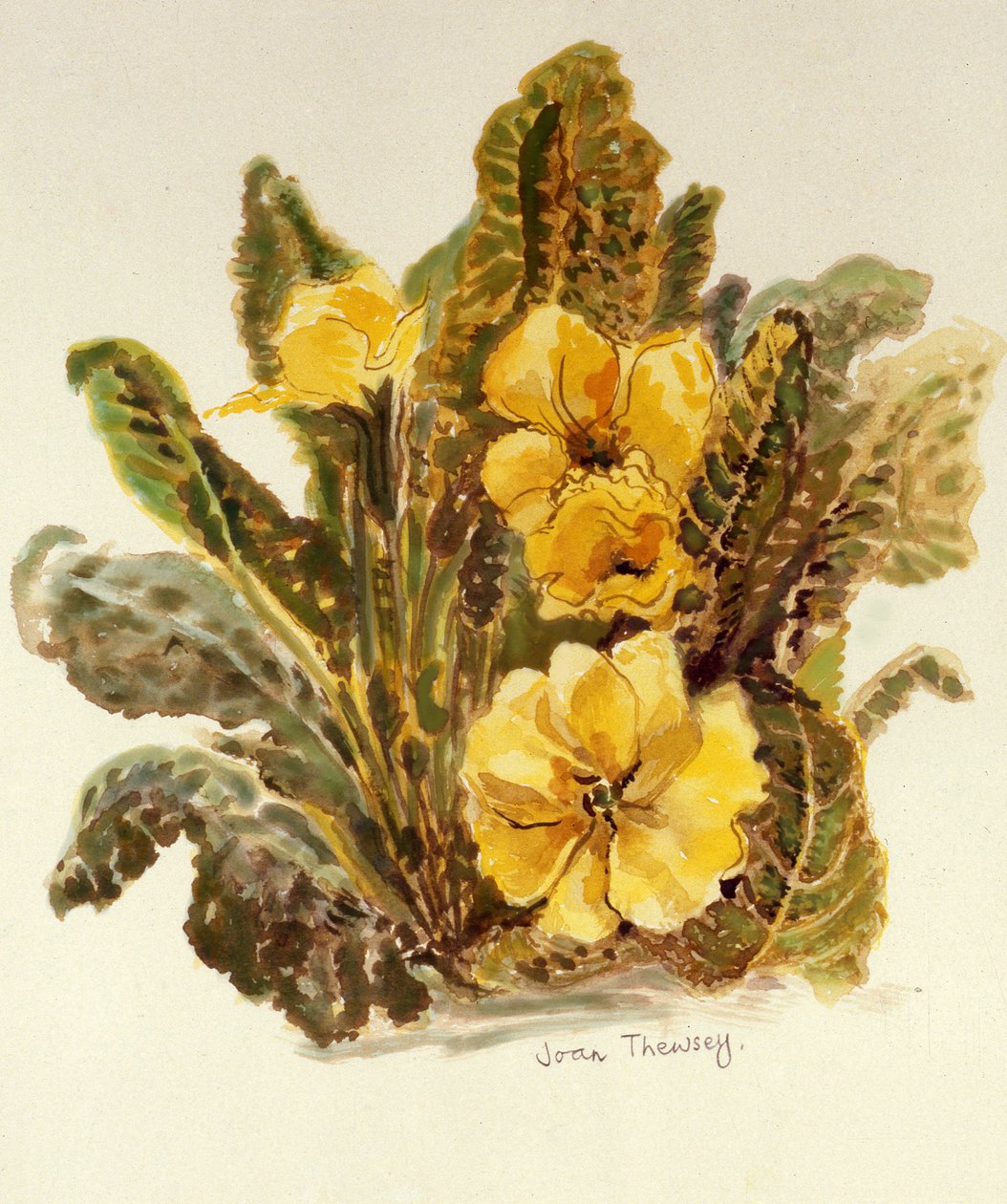 Sleutelbloem, 2010 door Joan Thewsey