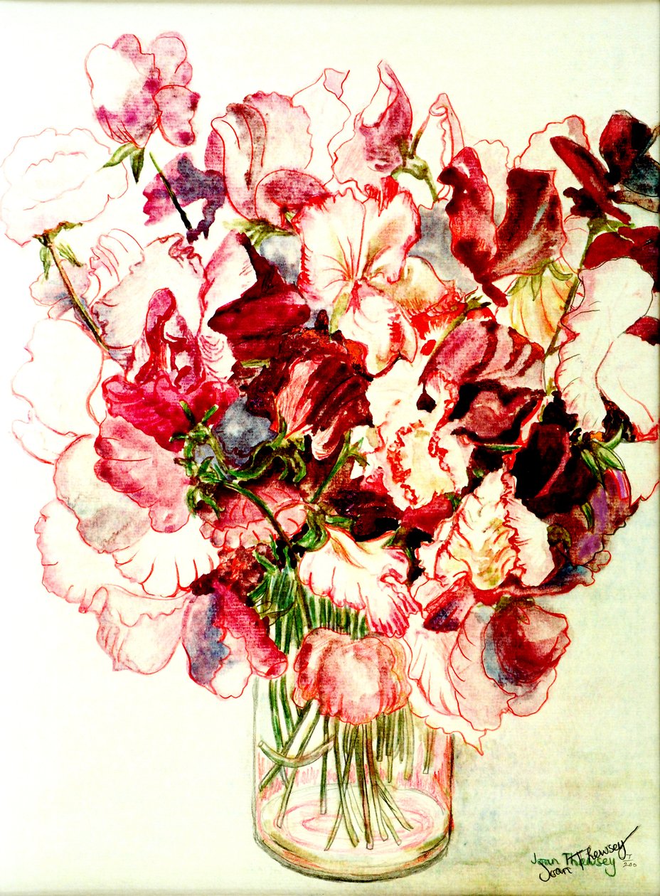Lathyrus, 2005 door Joan Thewsey