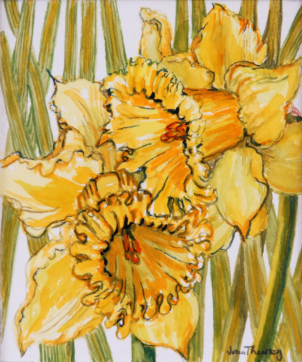 Twee Narcissen door Joan Thewsey