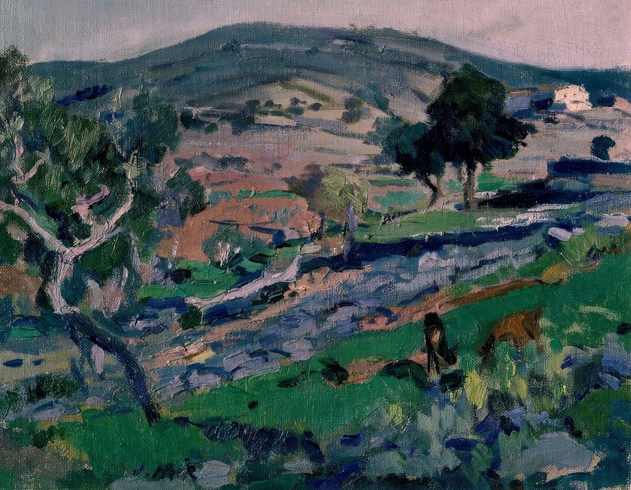 Landschap door Joaquim Mir i Trinxet