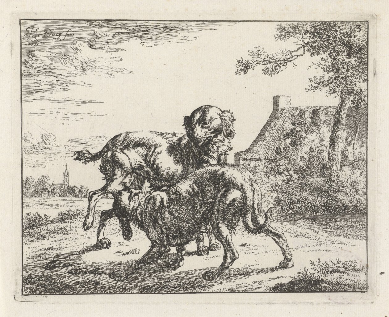 Hond en teef door Johan le Ducq
