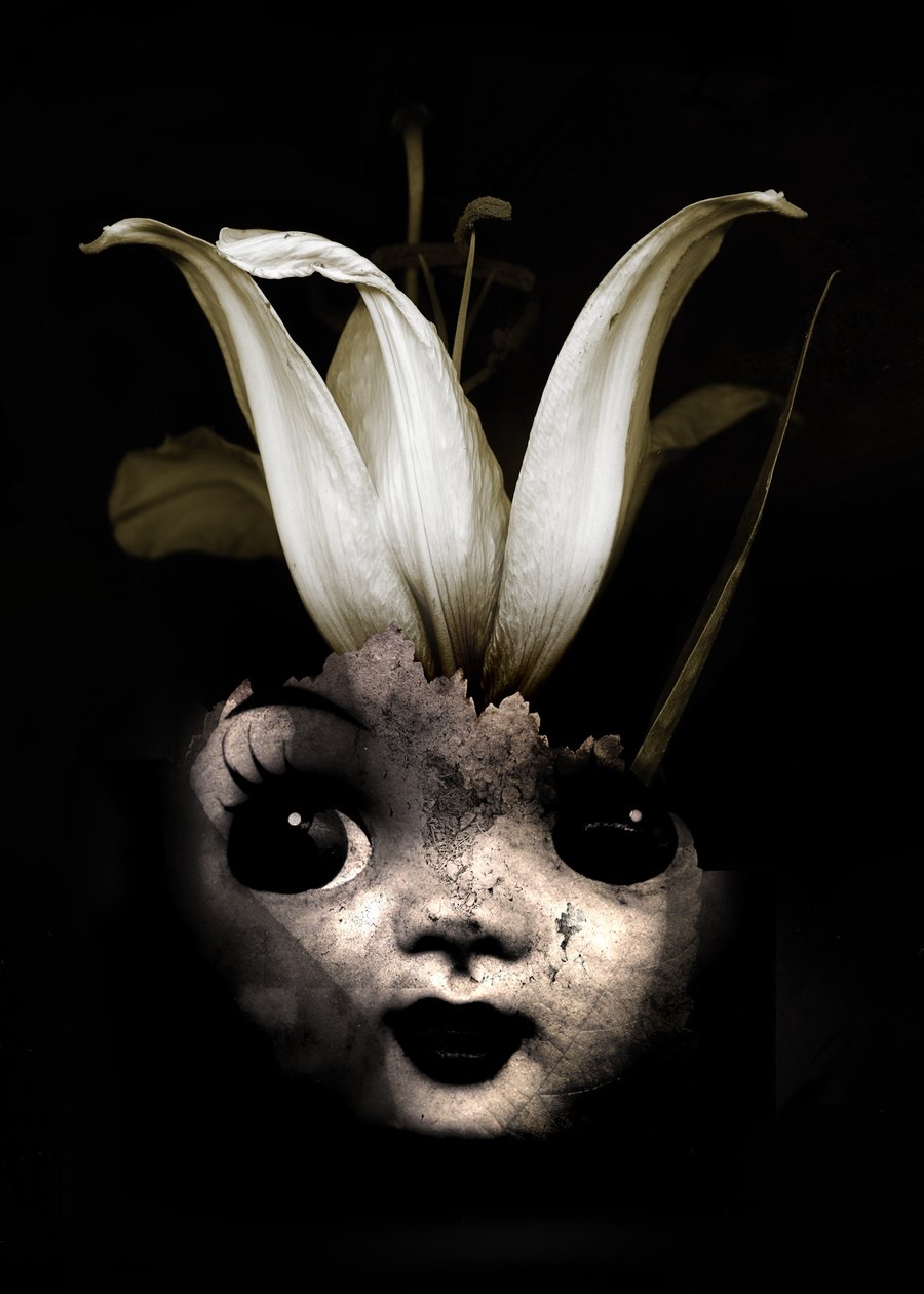 Poppenbloem door Johan Lilja