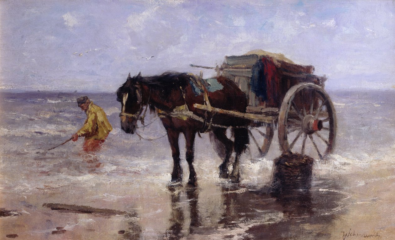 De schelpenverzamelaar door Johan Scherrewitz