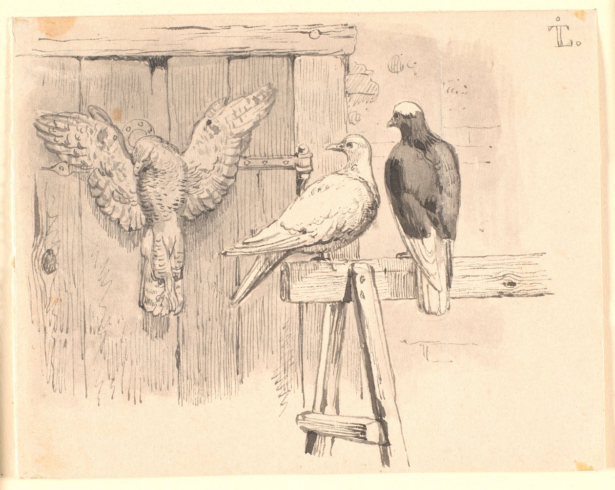 De duiven door Johan Thomas Lundbye