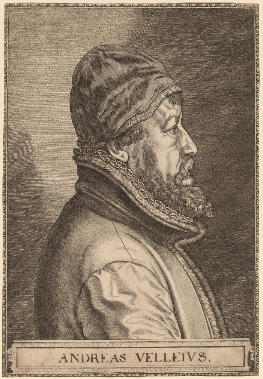 Andreas Velleius (Anders Sorensen Vedel) door Johan Wierix