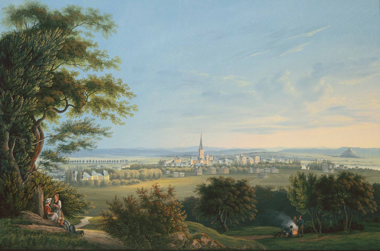 Uitzicht op de stad Vevay en zijn omgeving door Johann Ludwig Bleuler