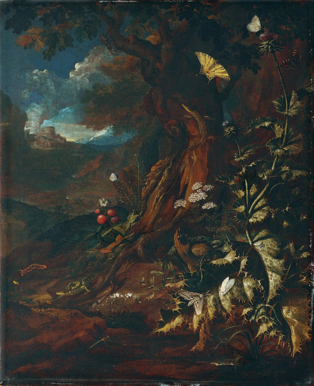 Landschap met reptielen en insecten (I) door Johann Adalbert Angermayer