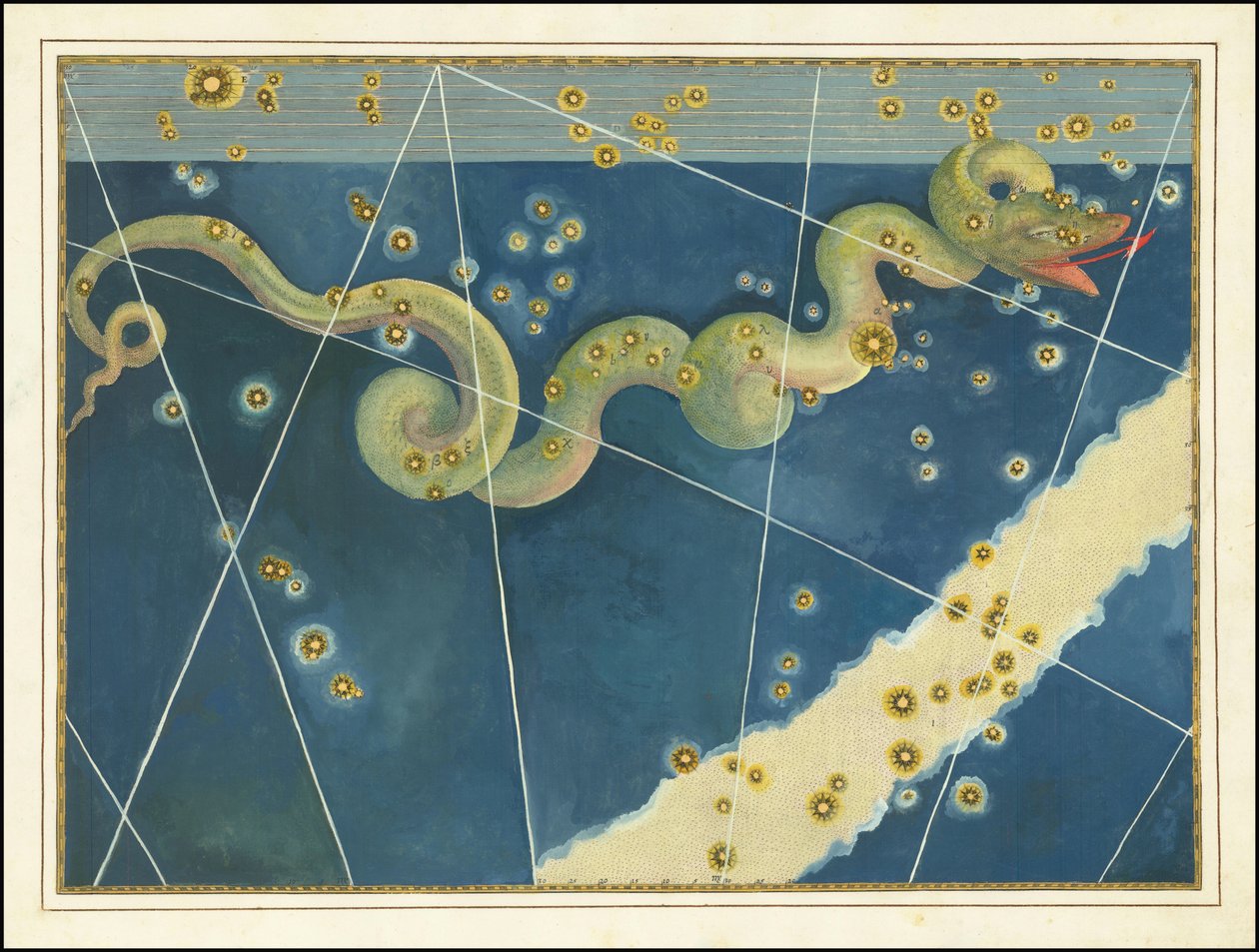 Hydra - Johann Bayer door Johann Bayer