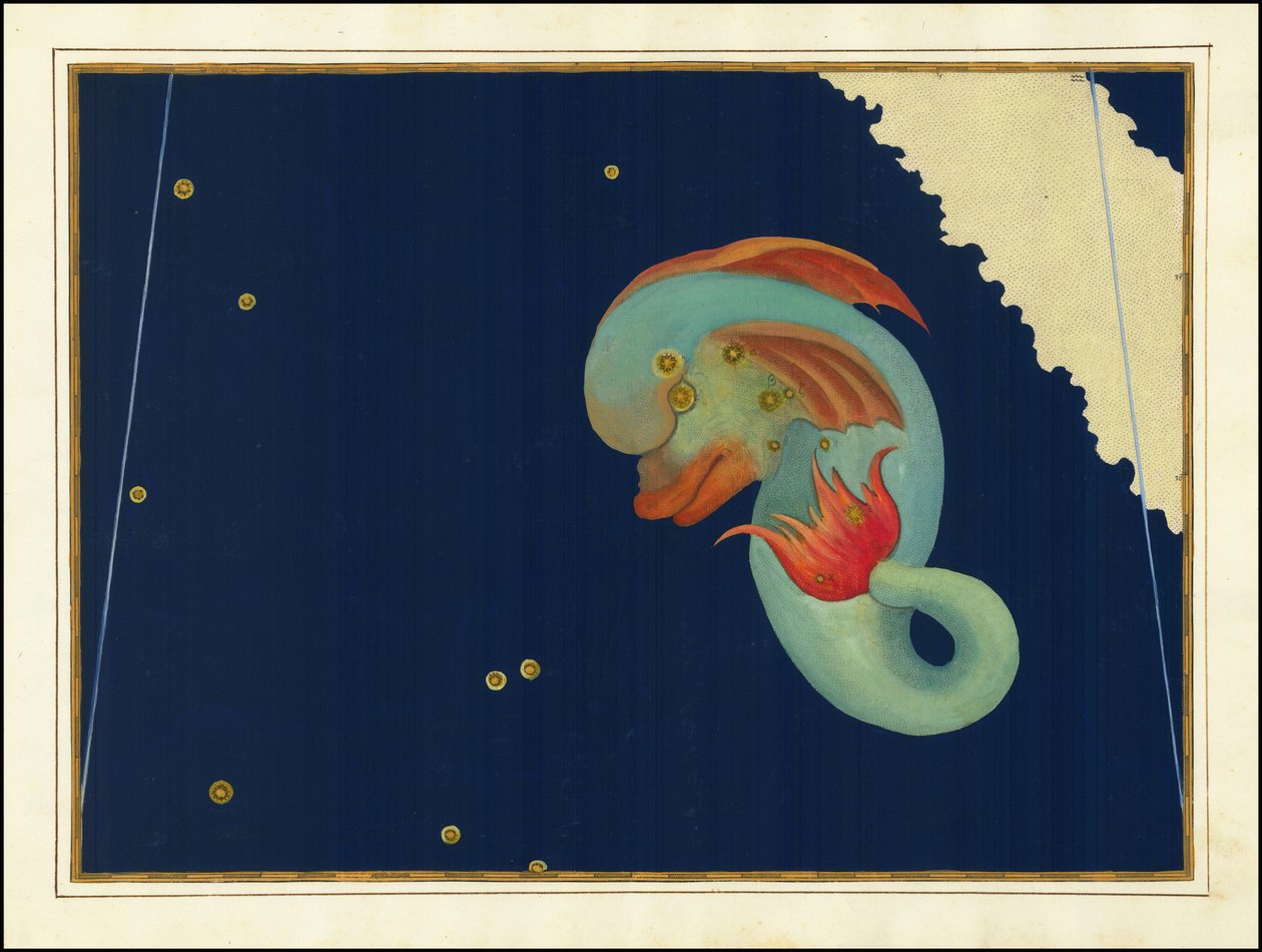 Johann Bayer, Delphinus door Johann Bayer