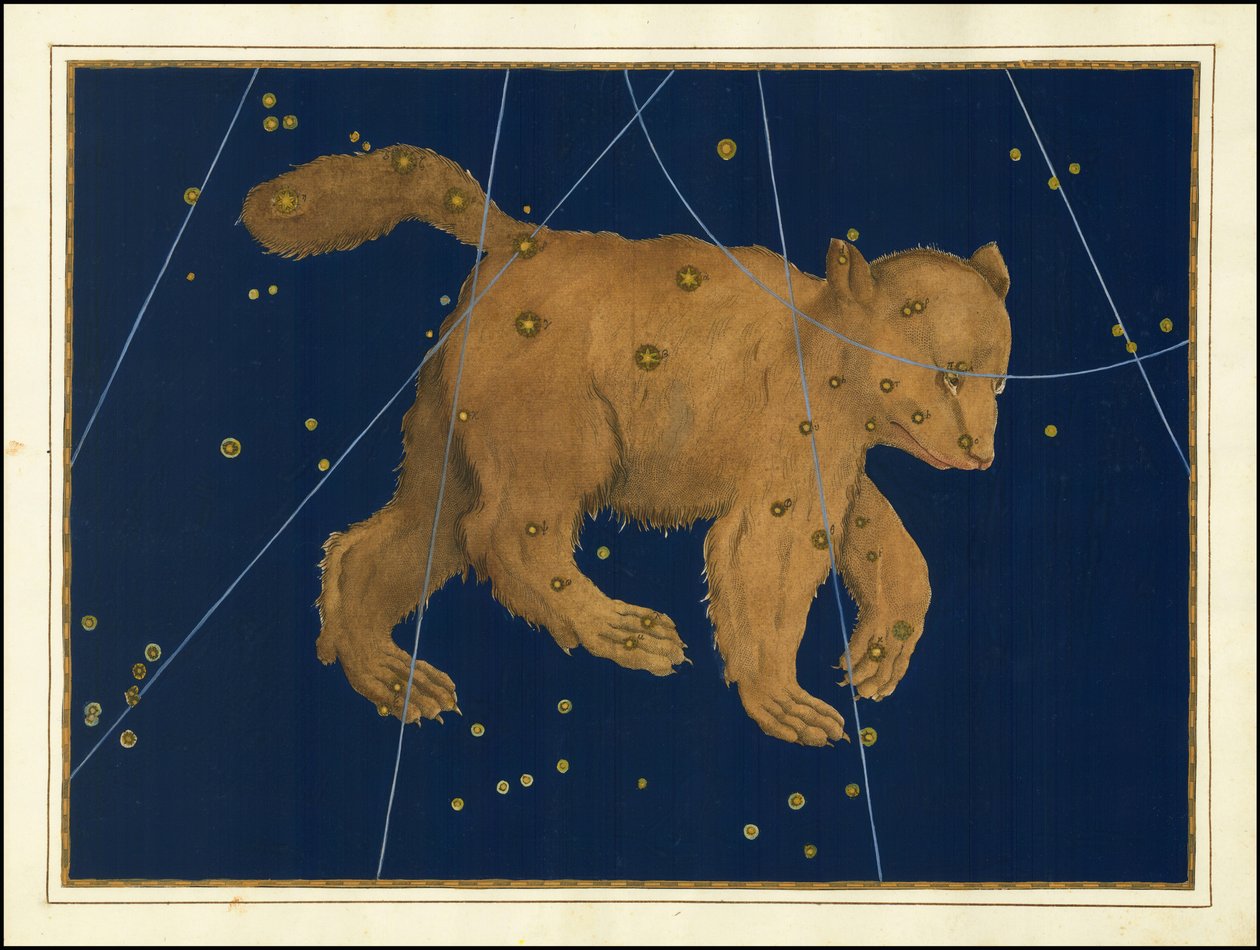 Johann Bayer, Ursa Major door Johann Bayer