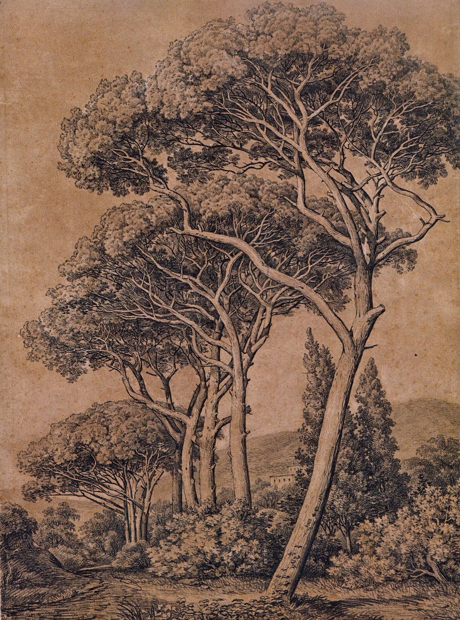 J C Reinhart parasoldennen 1791 door Johann Christian Reinhart