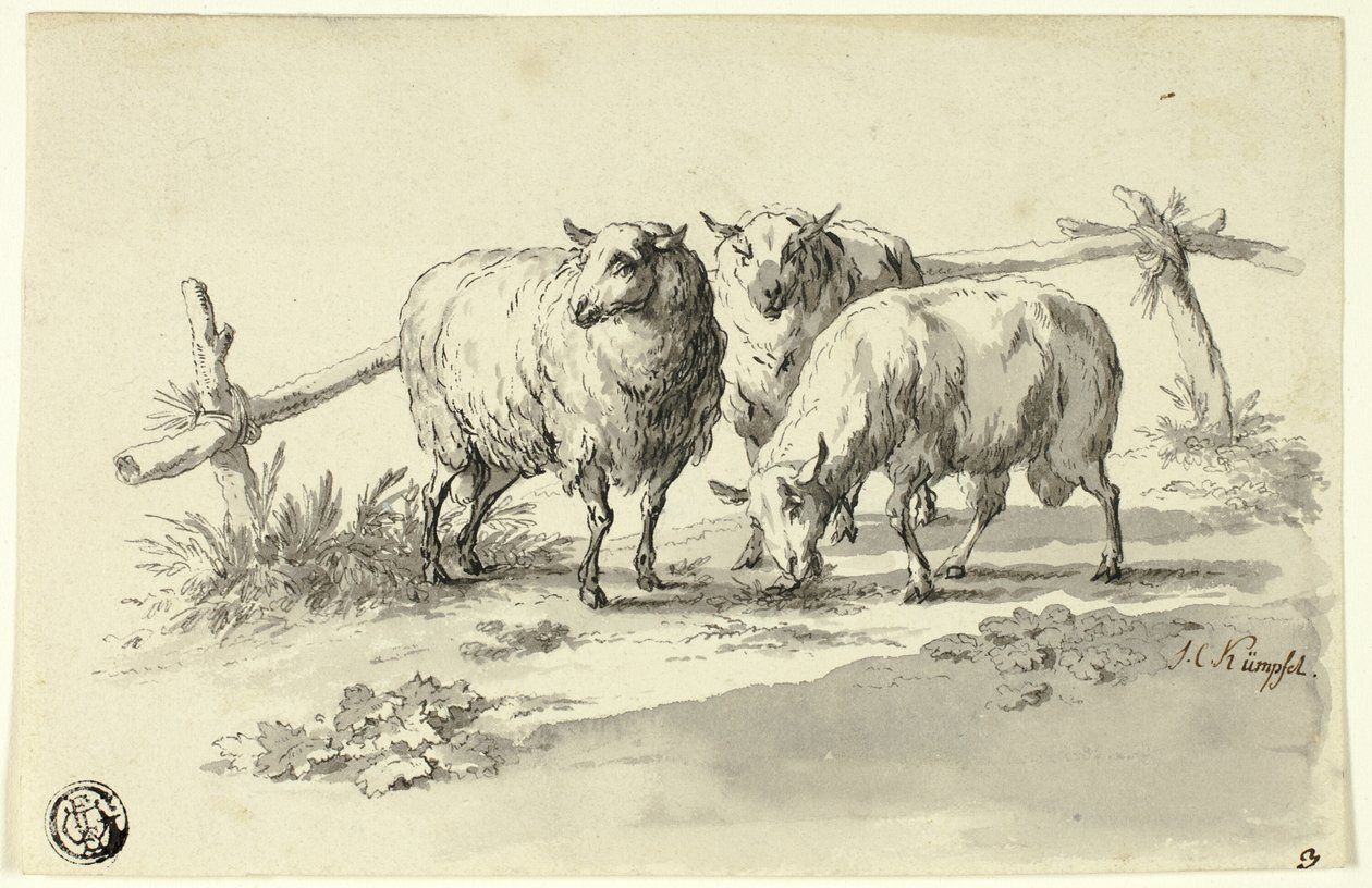 Schapen door Johann Christoph Kimpfel