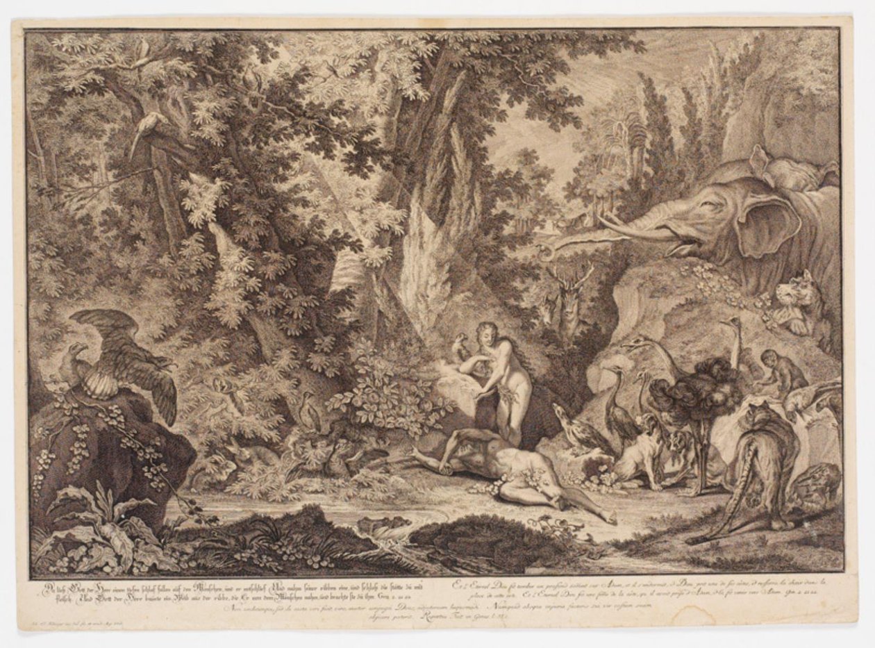 De schepping van Eva door Johann Elias Ridinger