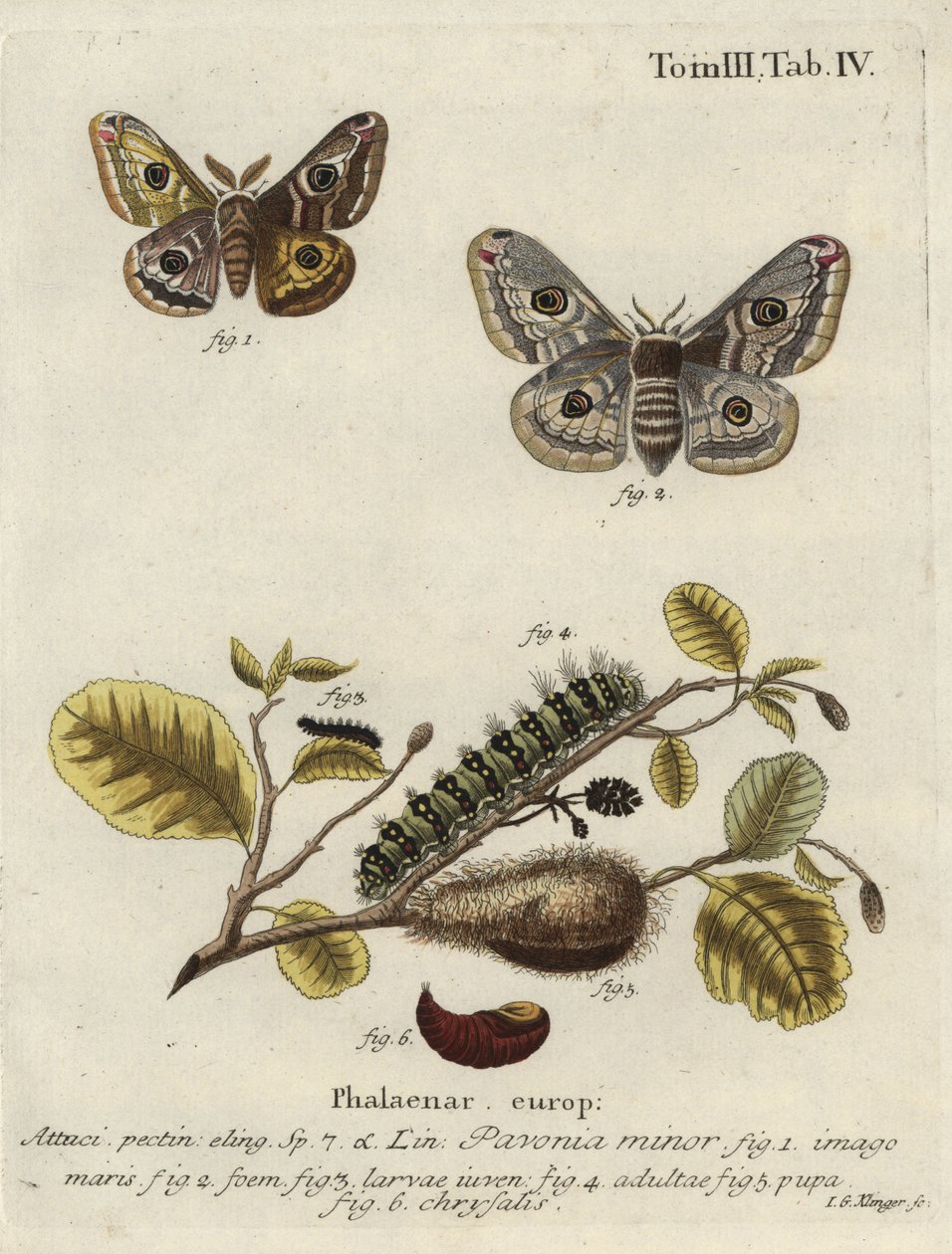 Onbekend beeld door Johann Georg Klinger