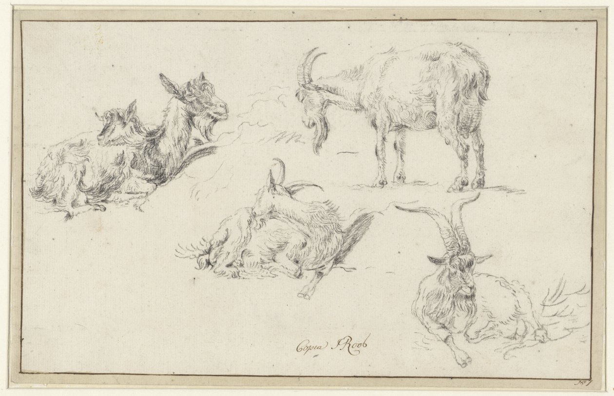 Studies van een bok door Johann Heinrich Roos (possibly)
