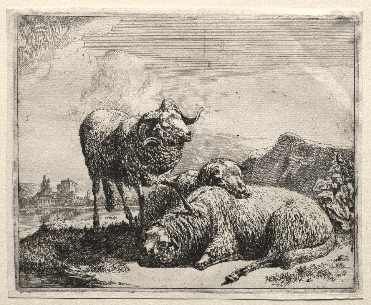 Ram en Twee Schapen door Johann Heinrich Roos