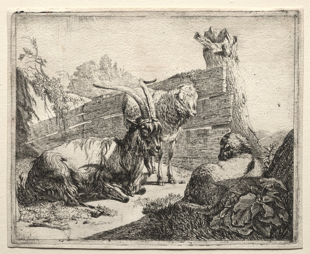 De haag door Johann Heinrich Roos