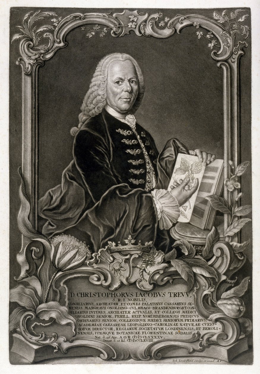 C. J. Trew, Botanicus, uitgegeven c.1768 door Johann Jakob Haid