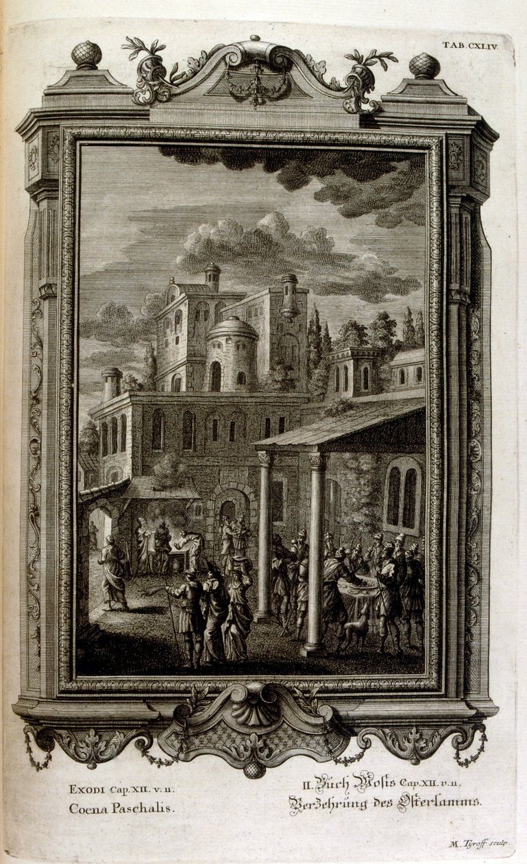 Illustratie door Johann Jakob Scheuchzer