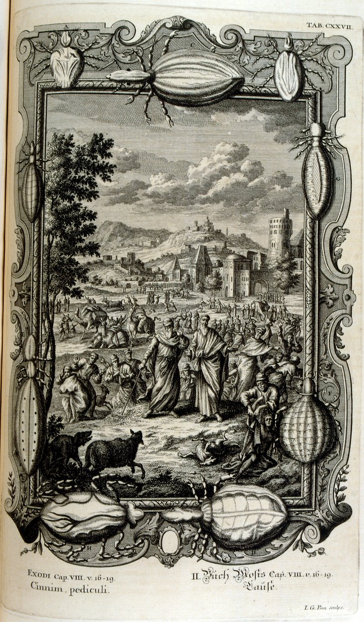Plaag van luizen en muggen door Johann Jakob Scheuchzer