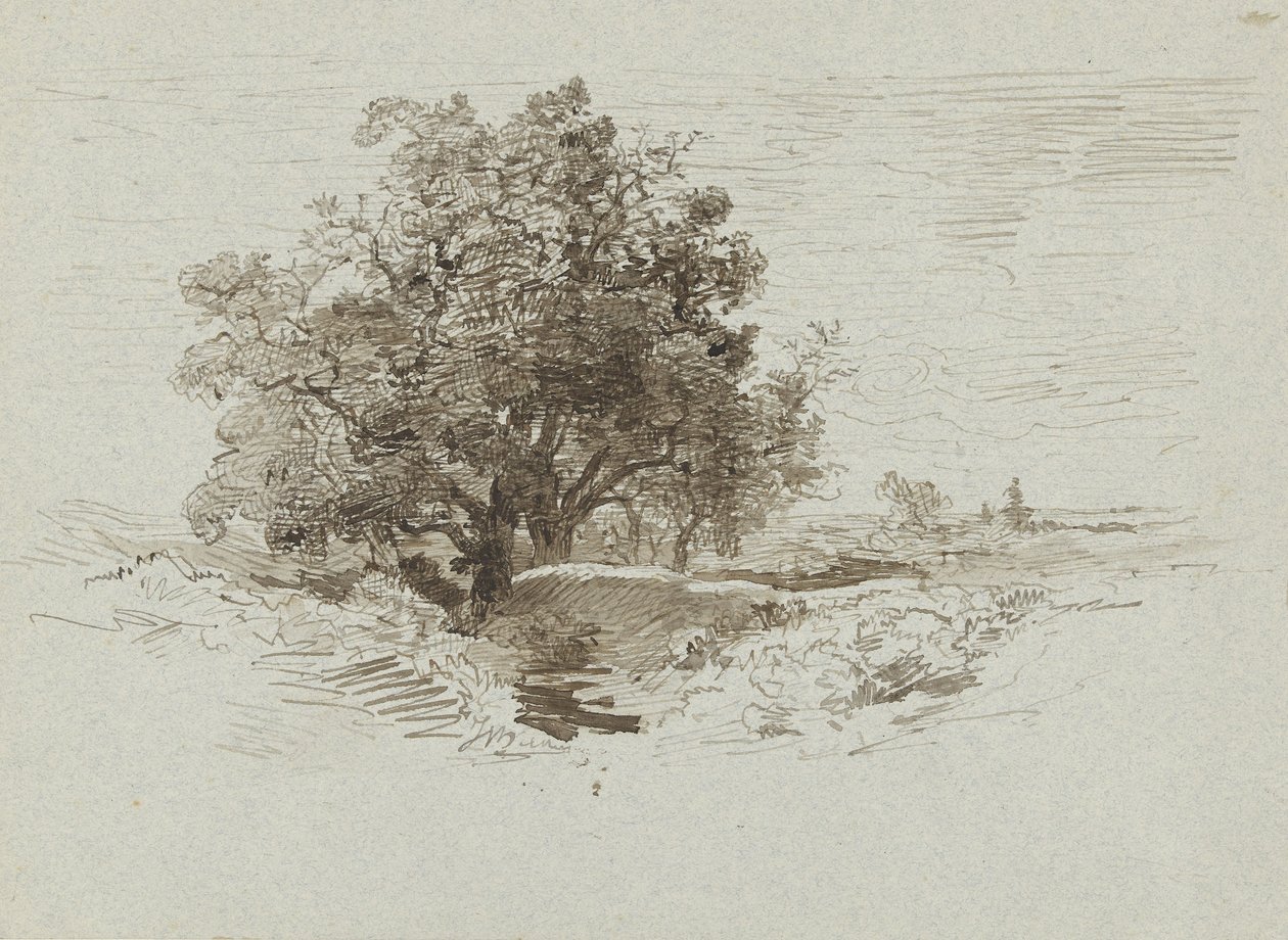 Groep eiken bij Wolfheze, Nederland door Johannes Warnardus Bilders