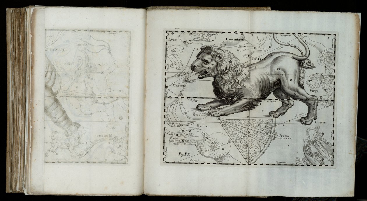 Leo (constellatie), uit "Prodromus astronomiae" door Johannes Hevelius