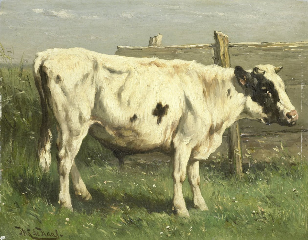 Jonge stier door Johannes Hubertus Leonardus de Haas
