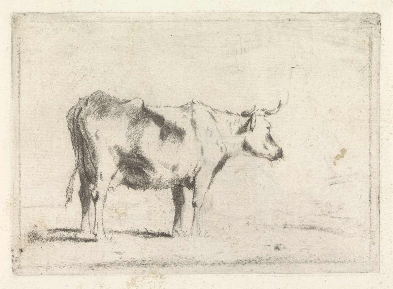 Koe, naar rechts door Johannes Janson (possibly)