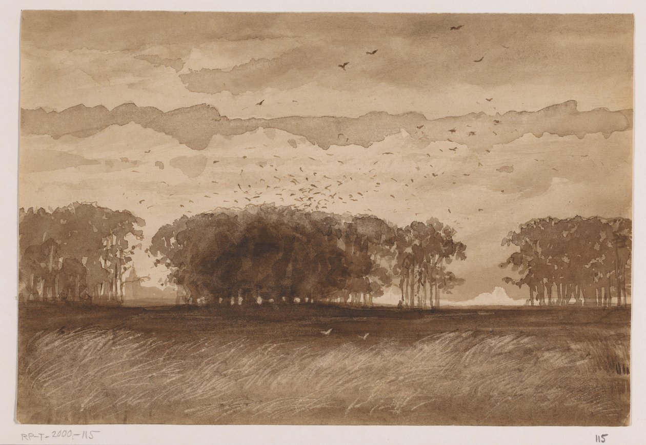Roekenkolonie in Noord-Brabant door Johannes Tavenraat (signed by artist)