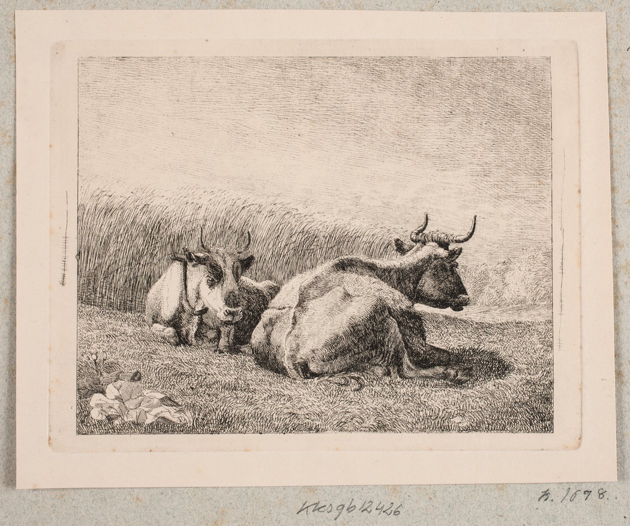 Twee Rustende Koeien door Johannes Wilhelm Zillen
