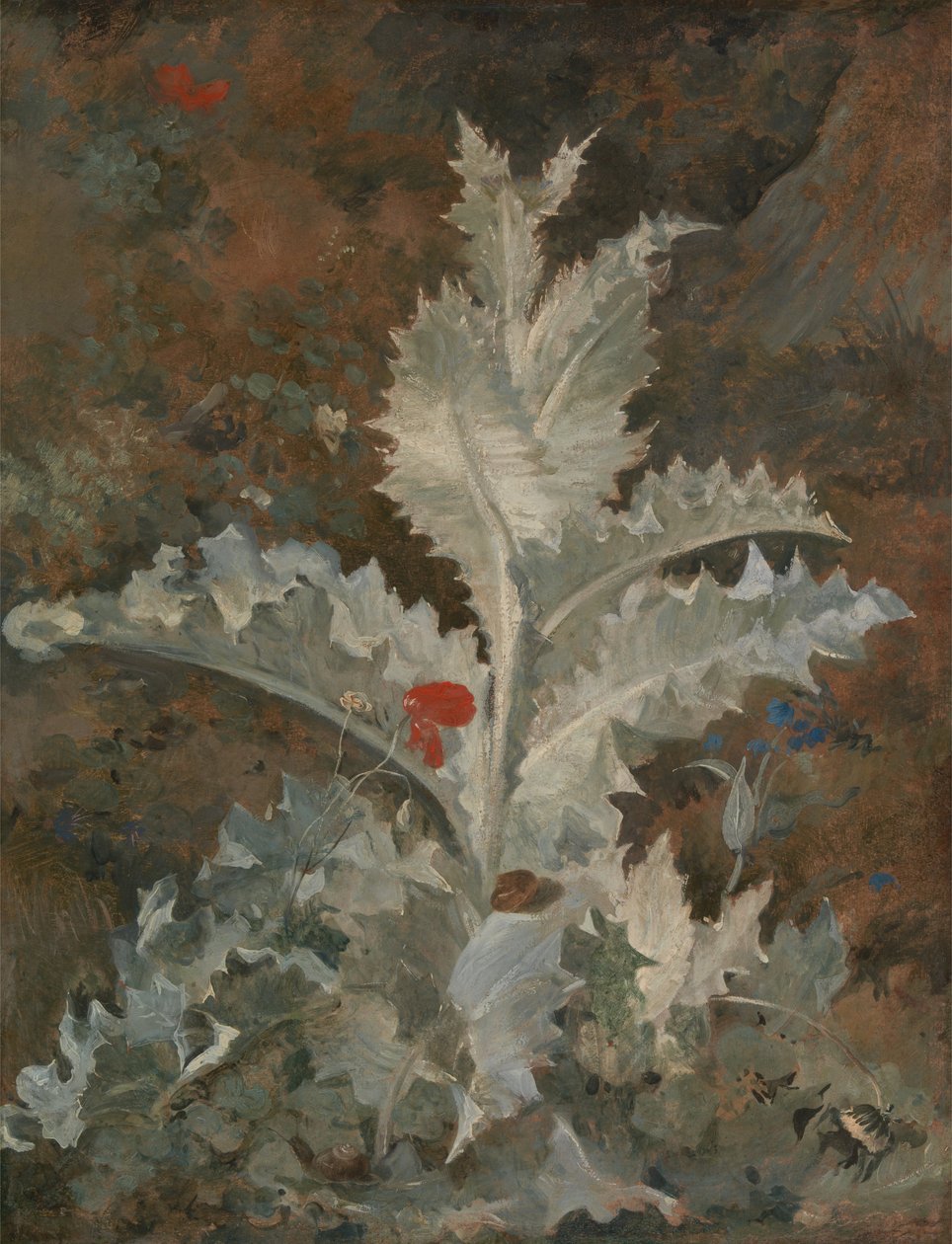 Een distel door John Crome
