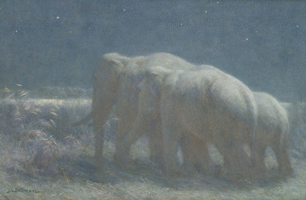Nacht, 1908 door John Charles Dollman