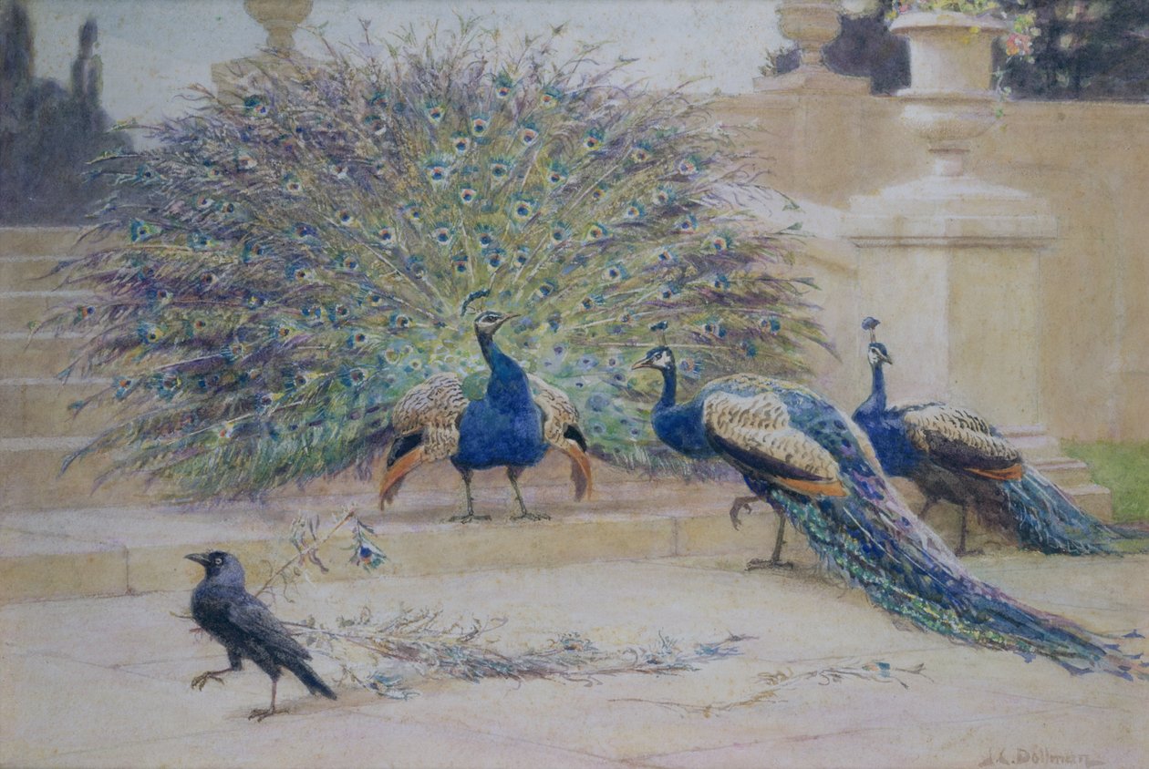 De Geleende Pluim door John Charles Dollman