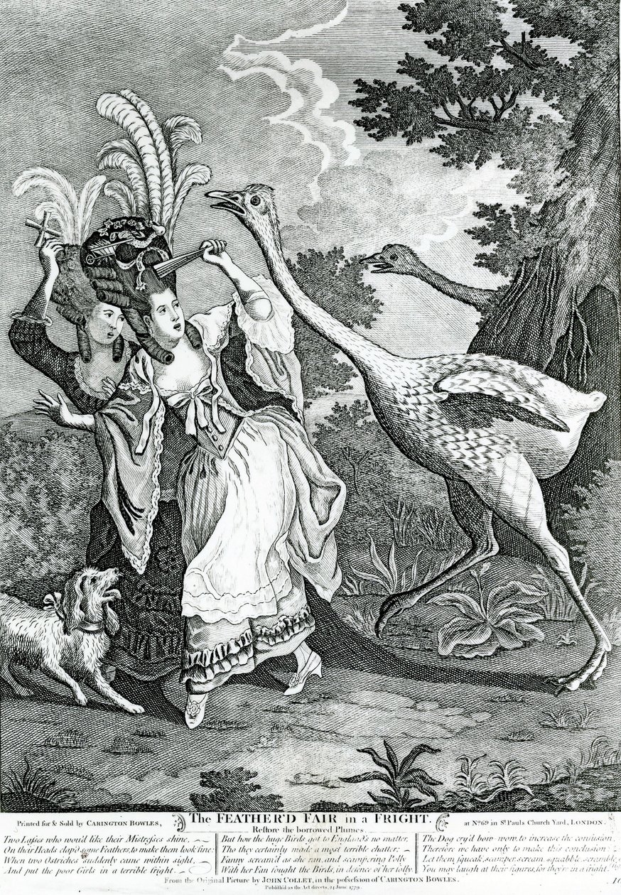 De gevederde vriend in een schrik, 1779 door John Collet