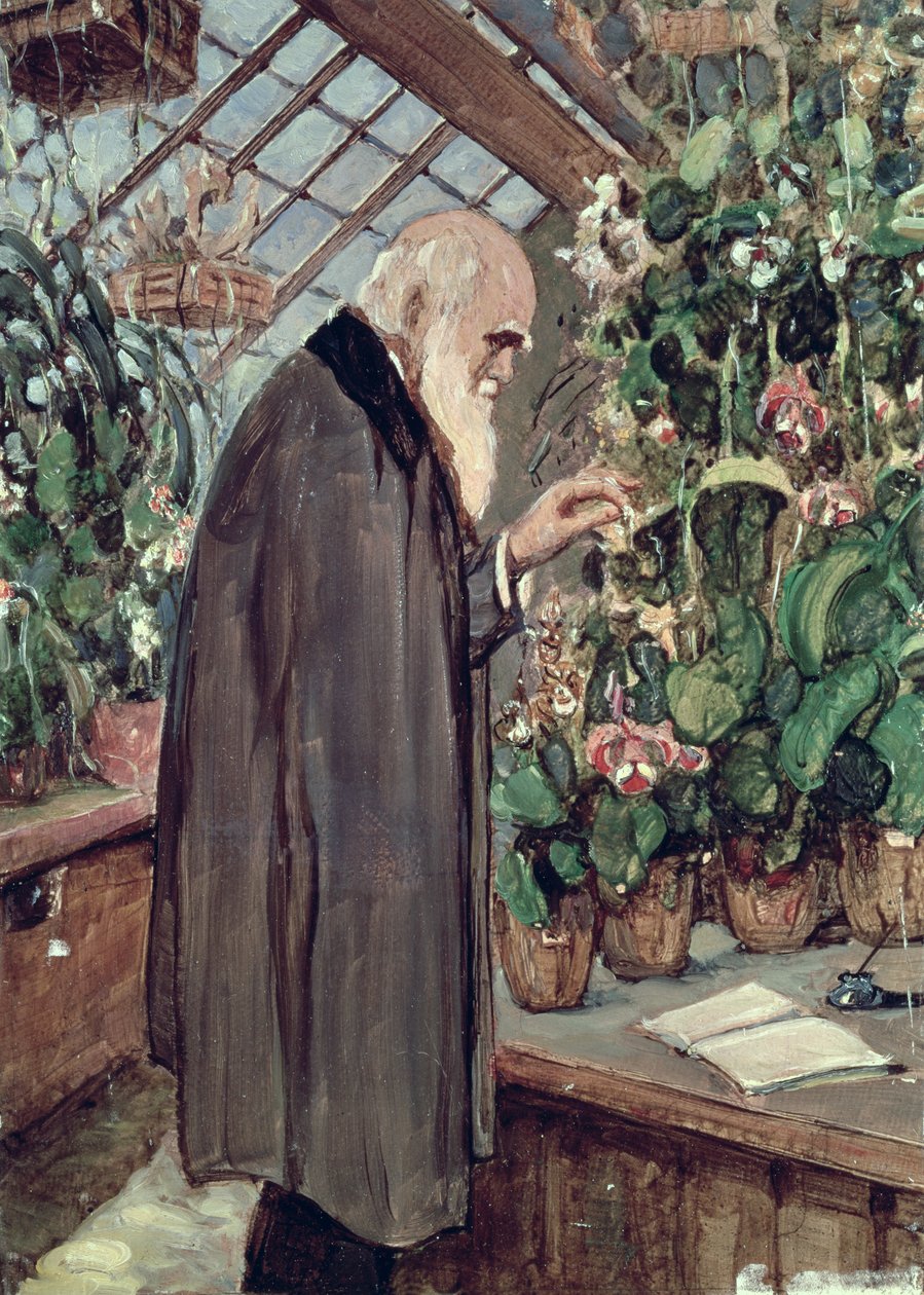 Charles Robert Darwin (1809-82) door John Collier