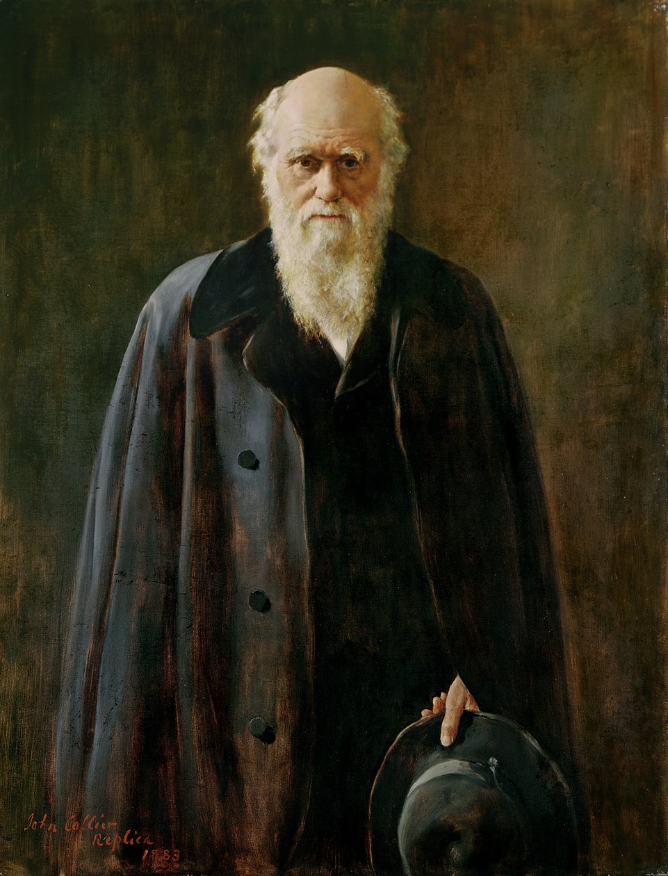 Portret van Charles Darwin (1809-1882) 1883 door John Collier